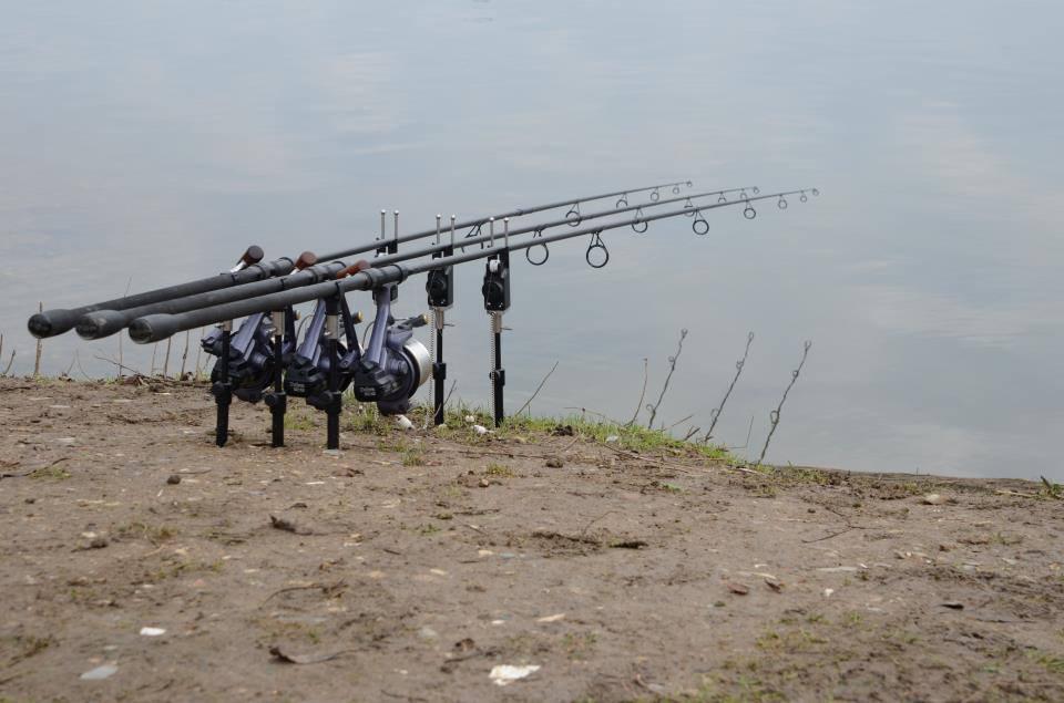 ::::::::LIKE:::::::: - 988349542774409091665706922523n.jpg